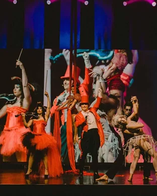 Nerveless Nocks Daredevil Circus