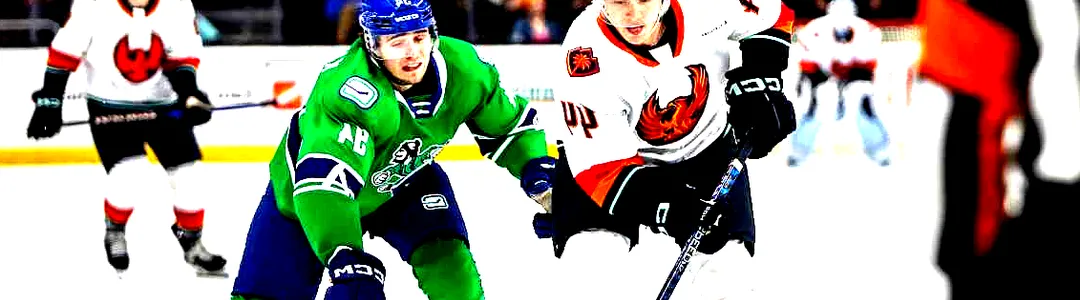 Abbotsford Canucks