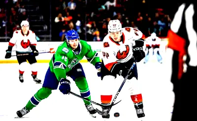 Abbotsford Canucks