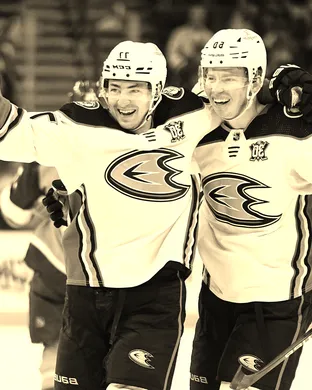 2026-2027 Anaheim Ducks Season Tickets (Includes Tickets To All Regular Season Home Games)