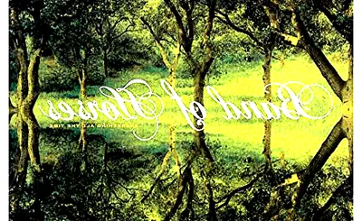 Band Of Horses