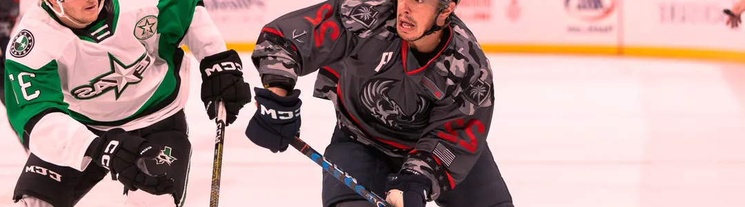 Coachella Valley Firebirds