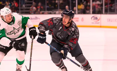 Coachella Valley Firebirds