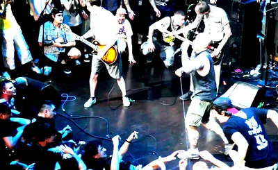 Gorilla Biscuits