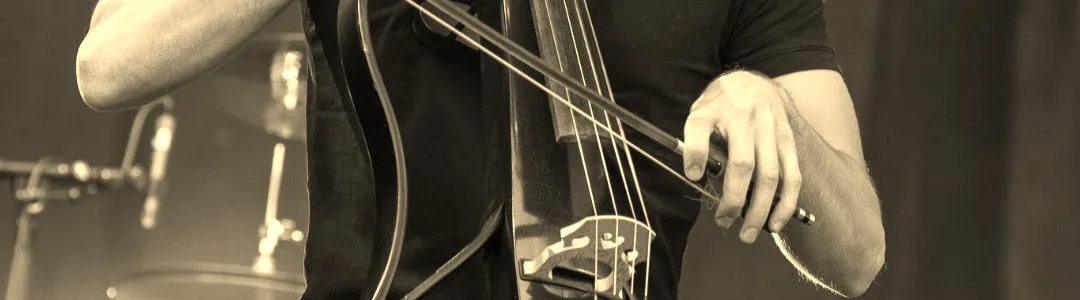 Luka Sulic