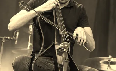 Luka Sulic
