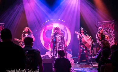 Metalachi