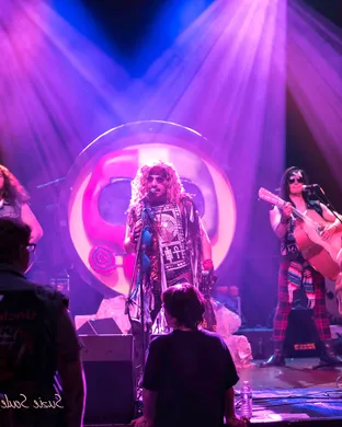 Metalachi