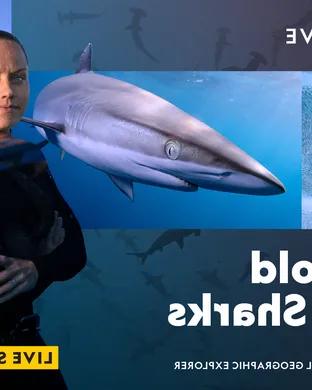 National Geographic Live: Diving the Great Barrier Reef