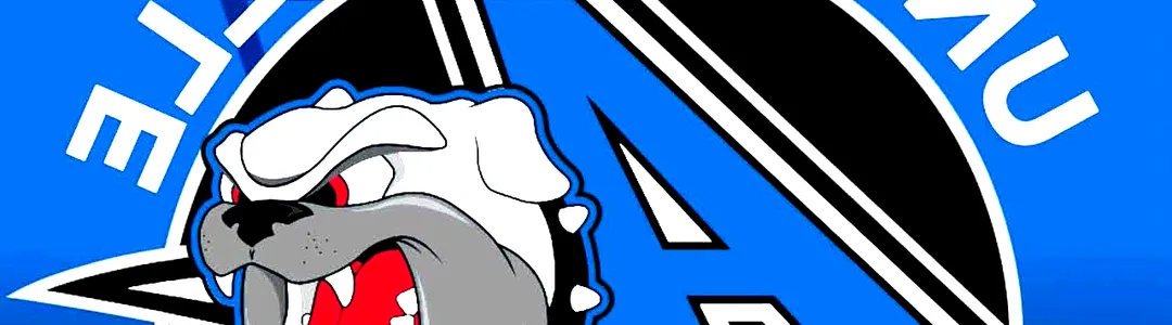 North Carolina Asheville Bulldogs