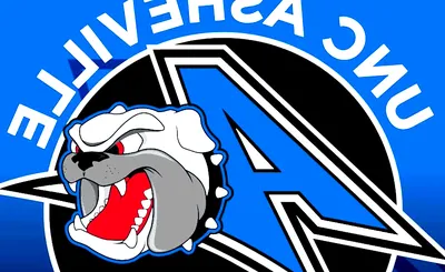 North Carolina Asheville Bulldogs