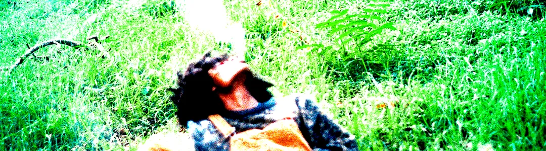 PawPaw Rod