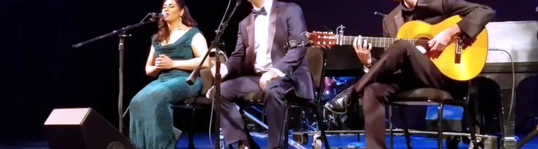 Reza Rohani