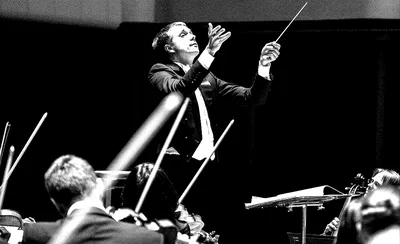 Royal Philharmonic Orchestra