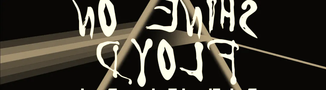 Shine On Floyd - Pink Floyd Tribute Band