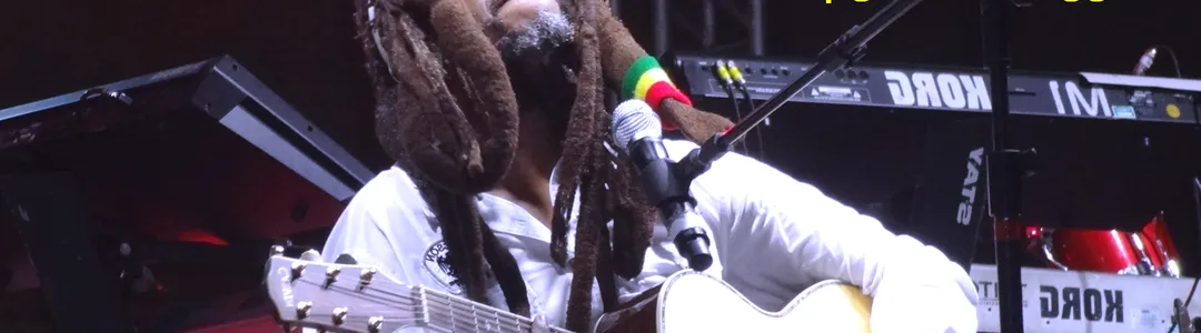 Steel Pulse
