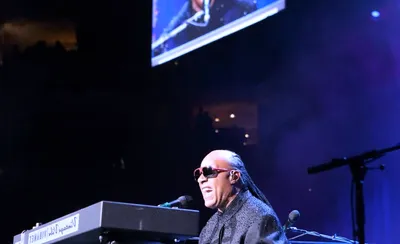 Stevie Wonder