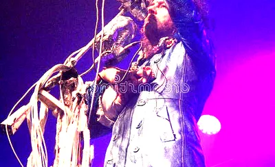 The Flaming Lips