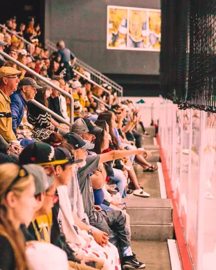 NHL Western Conference Second Round: Vegas Golden Knights vs. Anaheim Ducks - Home Game 4, Series Game 7 (If Necessary)