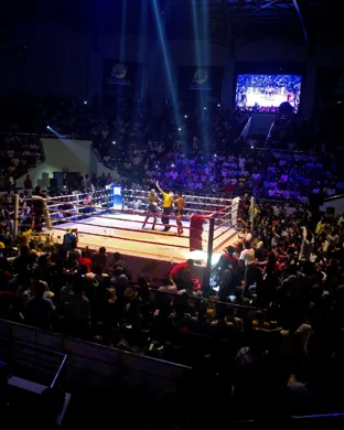 Matchroom Boxing: Diego Pacheco vs. Immanuwel Aleem